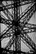 Wall_Art_Alphabet_Photography_Art_ 2486